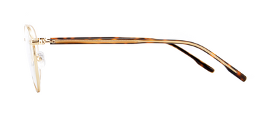 Men eyeglasses Vista : Pavel -  Gold SpecSMART eye clinic side View